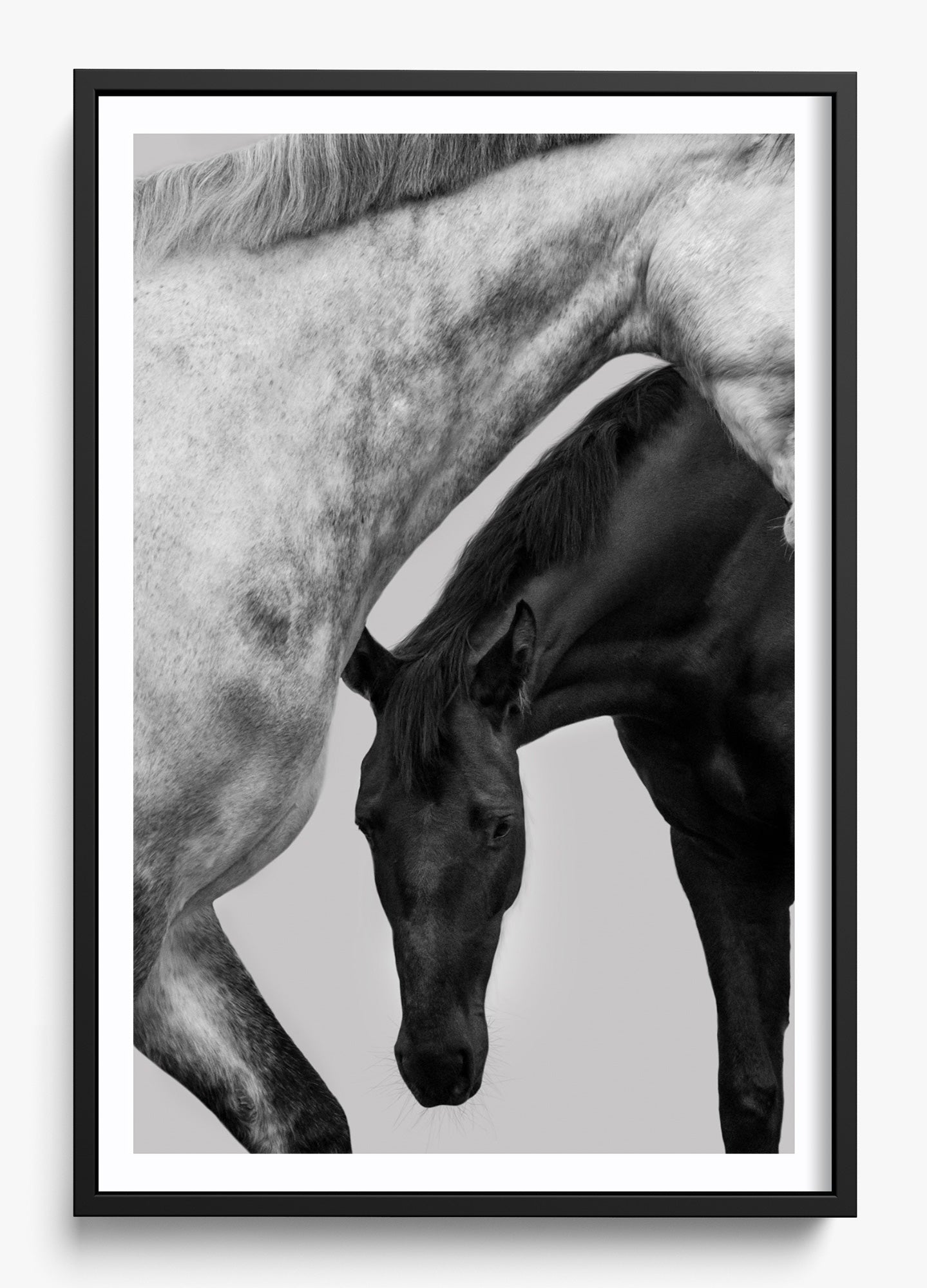 Submission Canvas