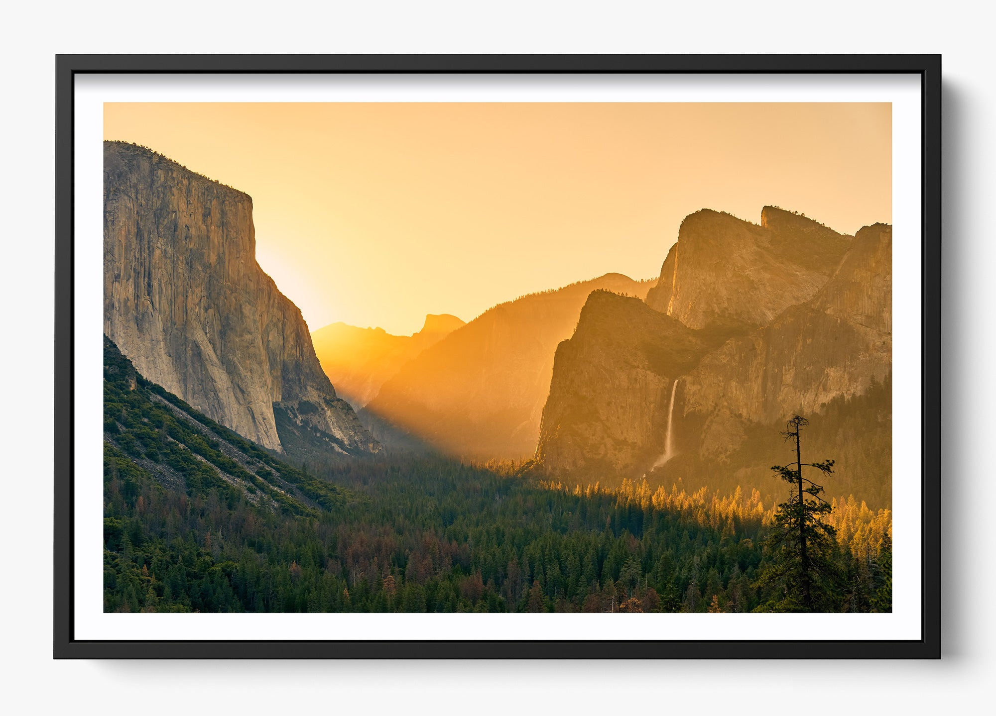 El Cap Sunset Canvas