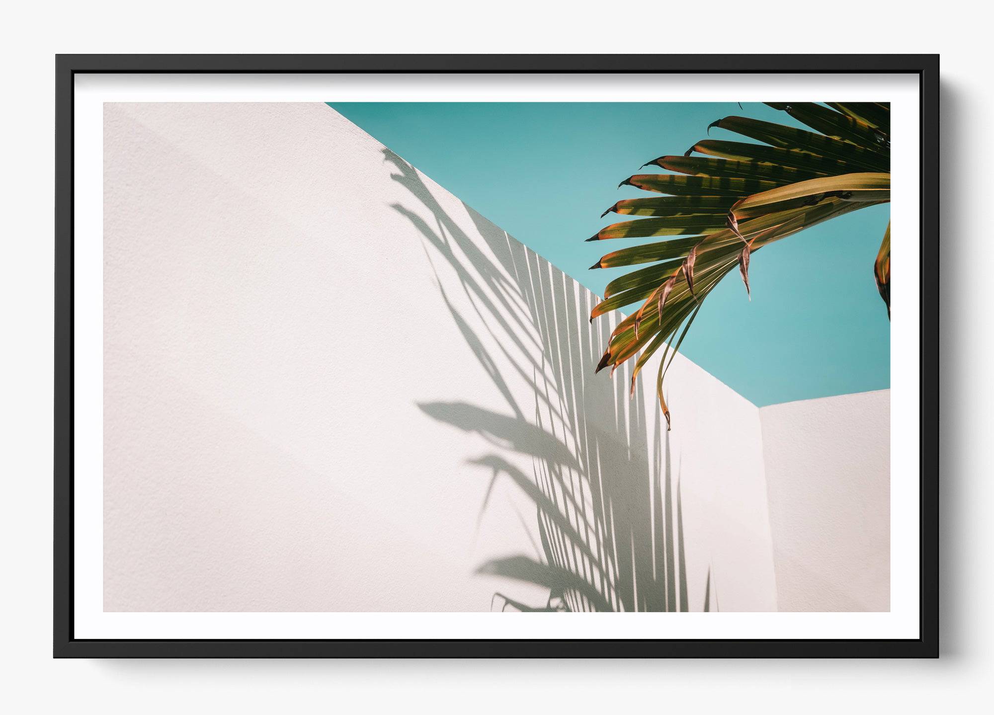 Summer Shadow Canvas