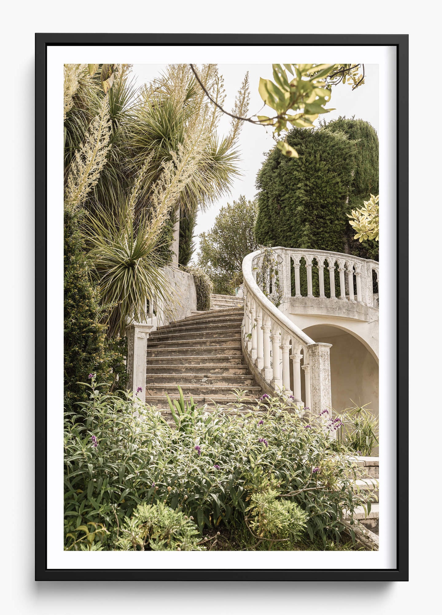 Step Up Canvas