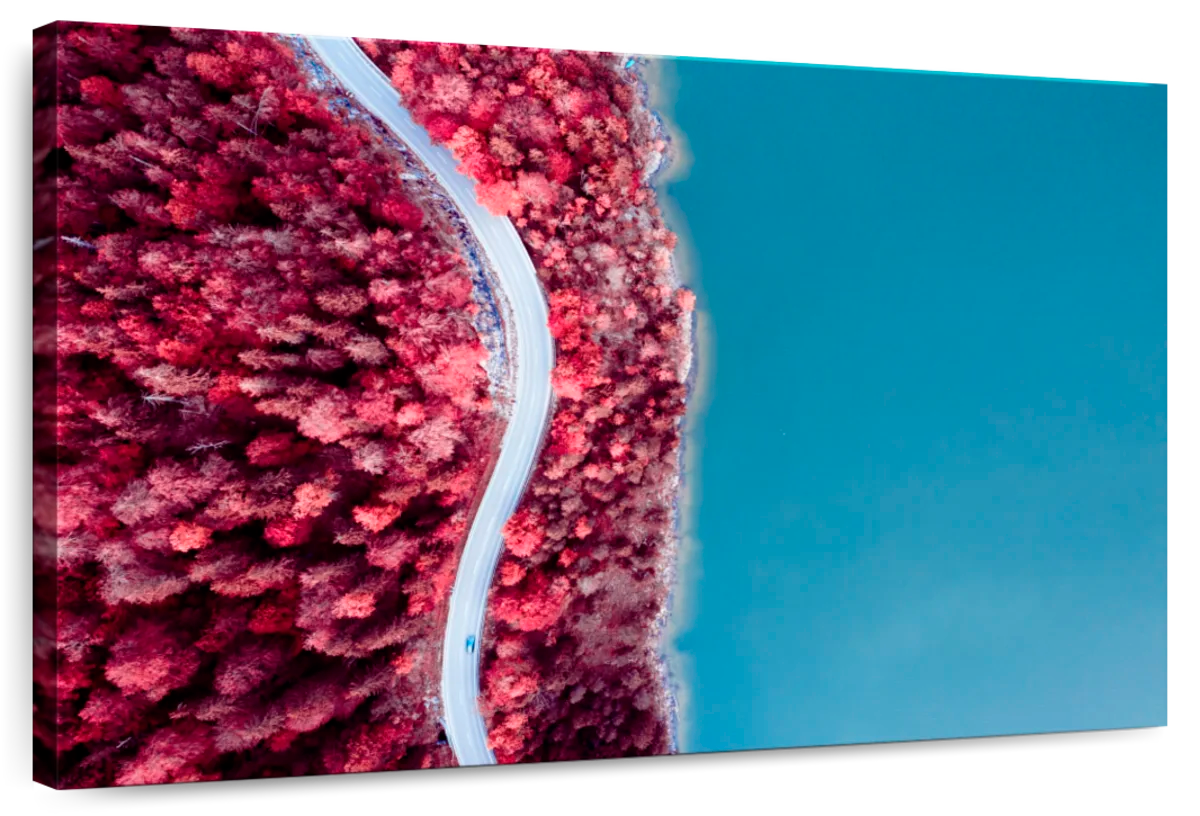 Coastal Red Trees