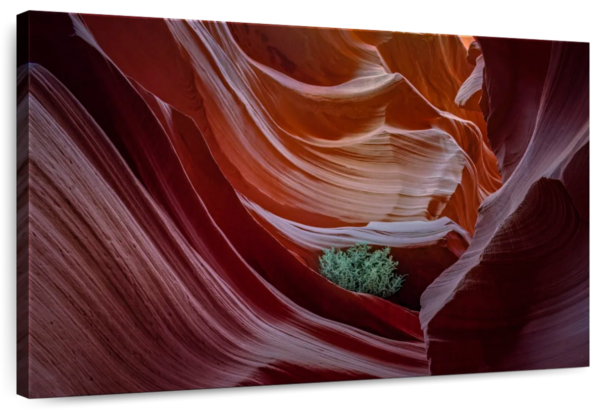 Curvy Antelope Canyon