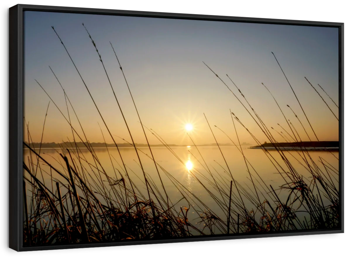 Sparkling Sunrise
