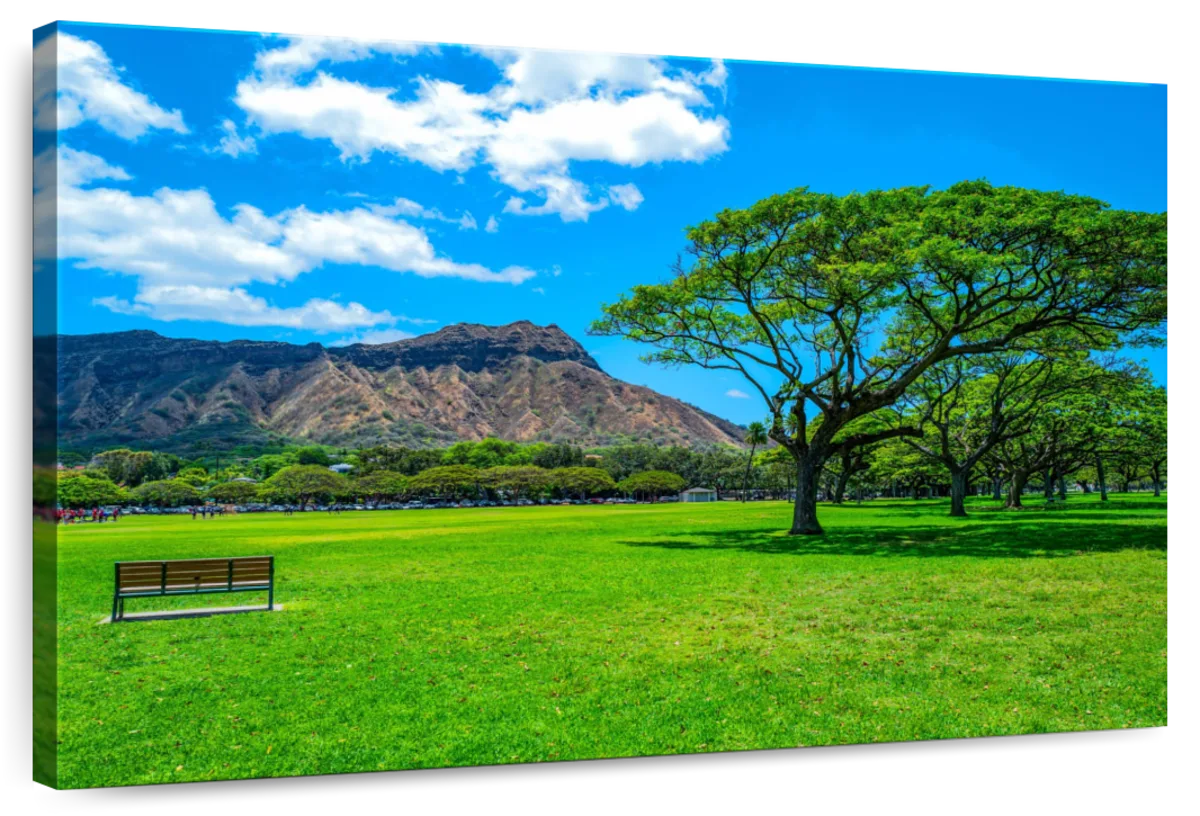 Diamond Head From Waikiki Park