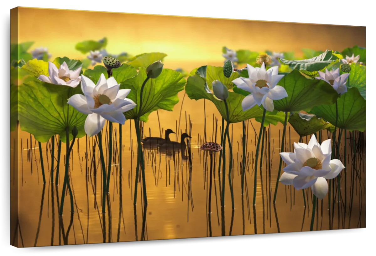 Ducks Under Lotuses