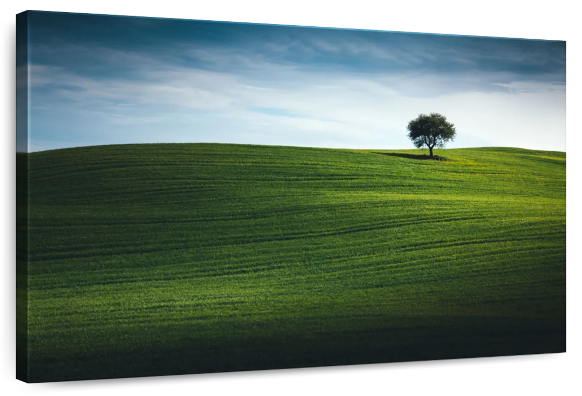 Tuscan Green Field