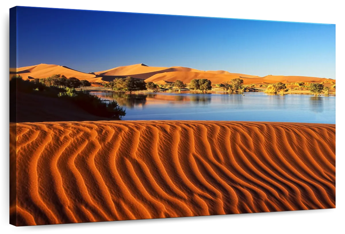 Sossusvlei Landscape