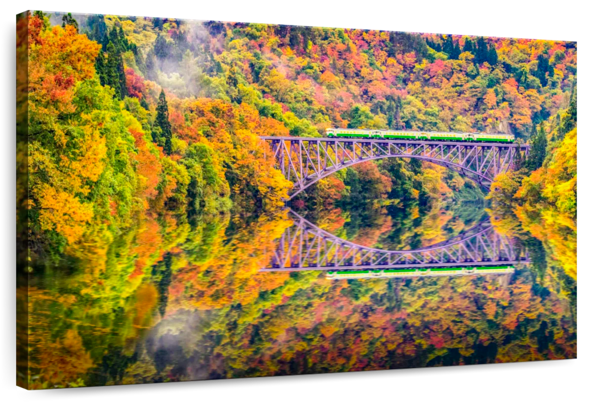 Tadami Autumn Train