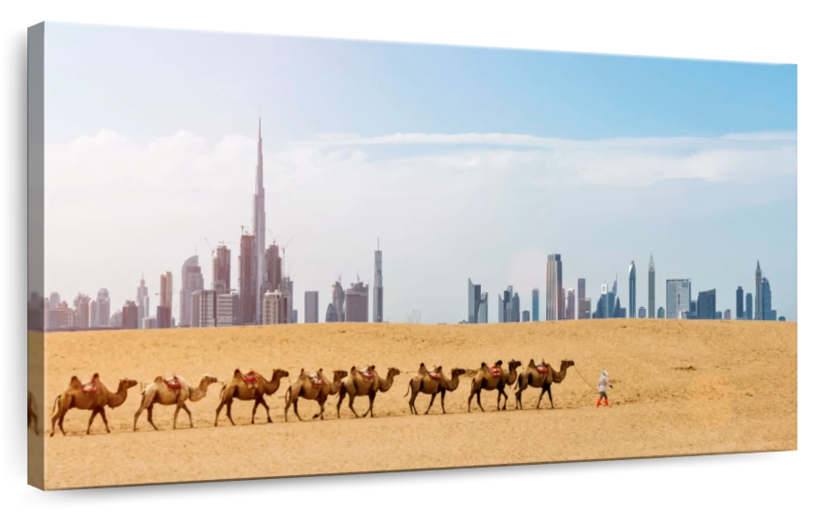 Dubai Camel Train