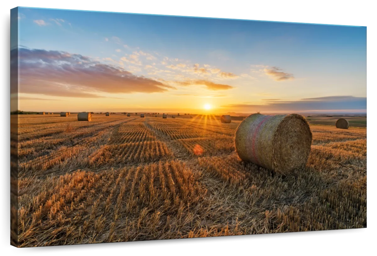 Sunset Hay Bales