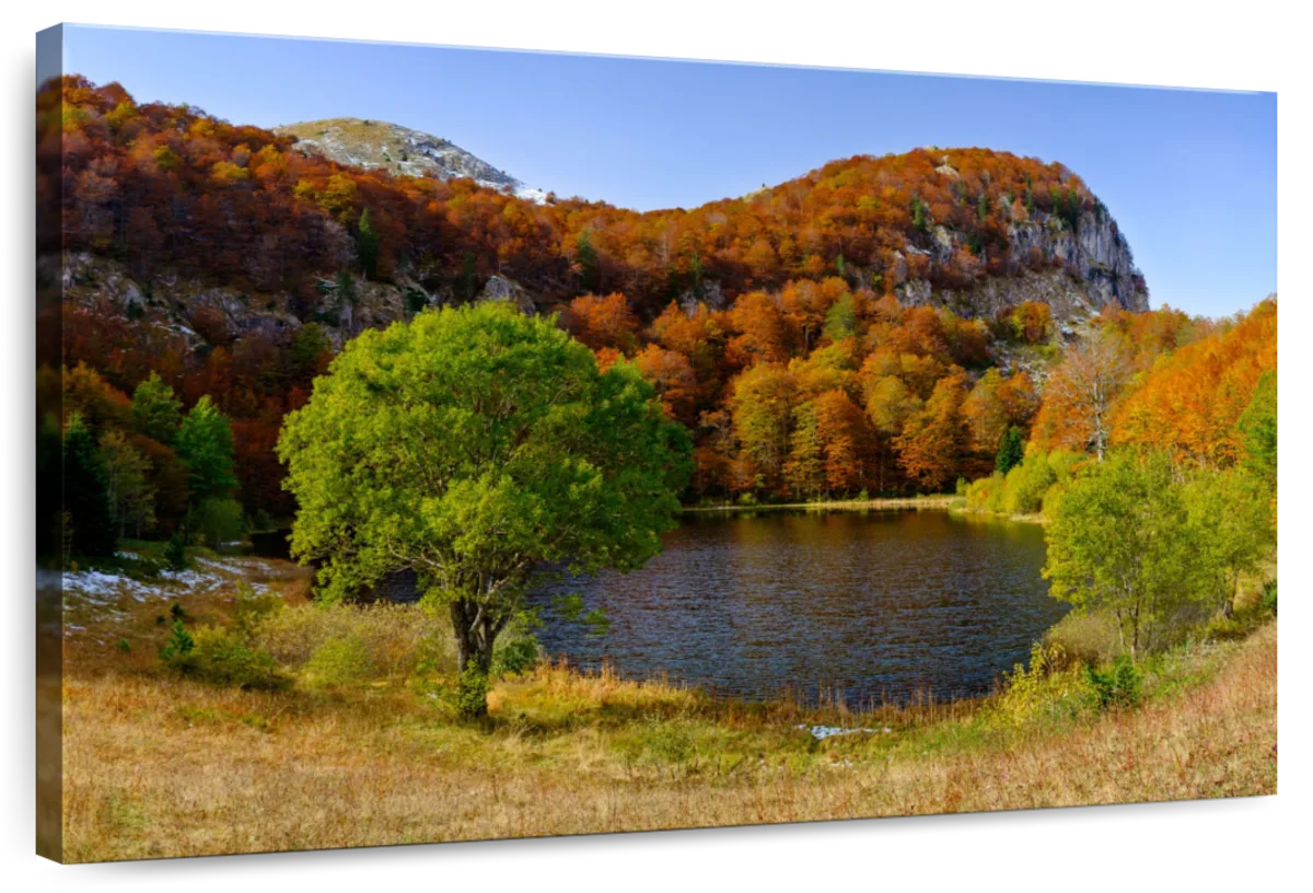 Donje Bare Autumn
