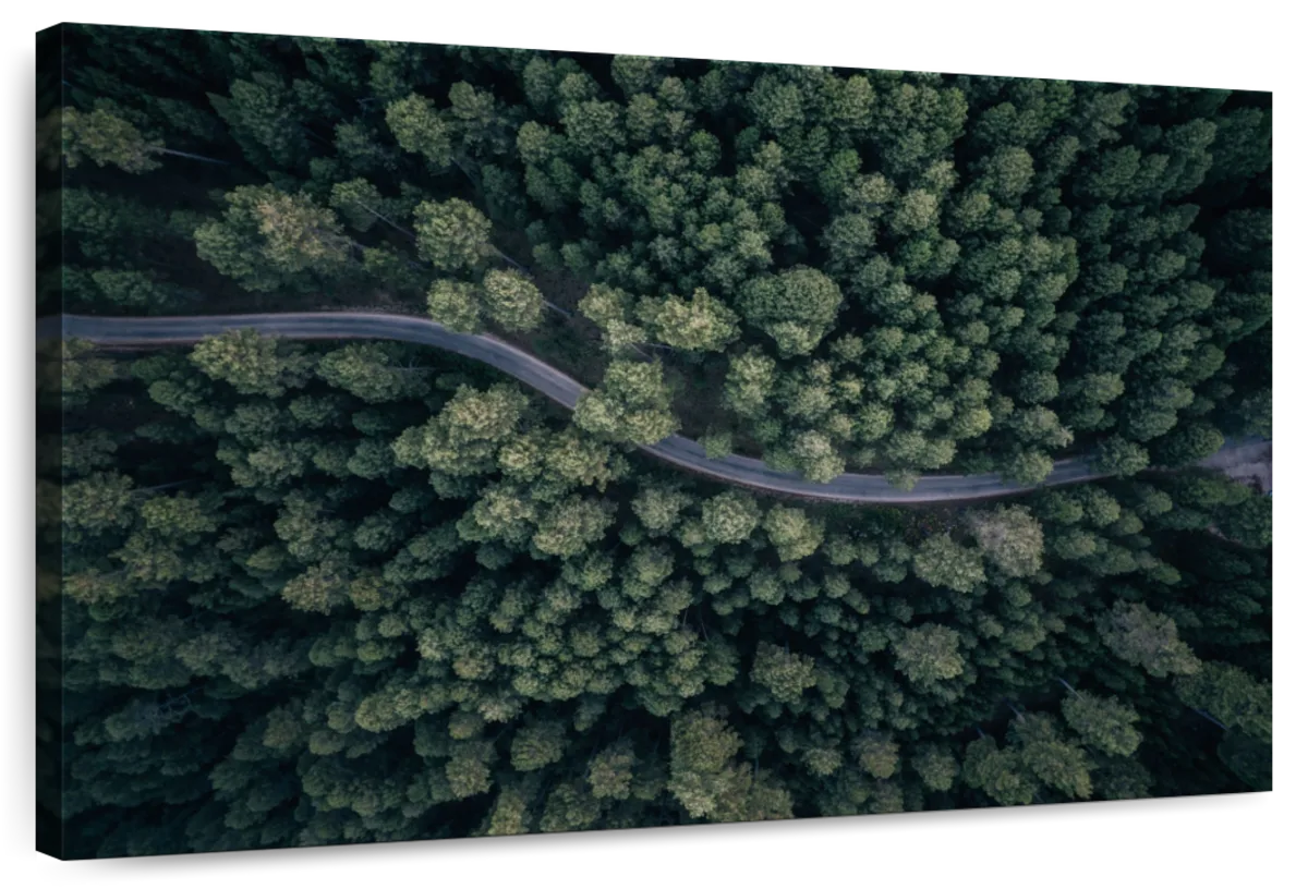 View From Above II