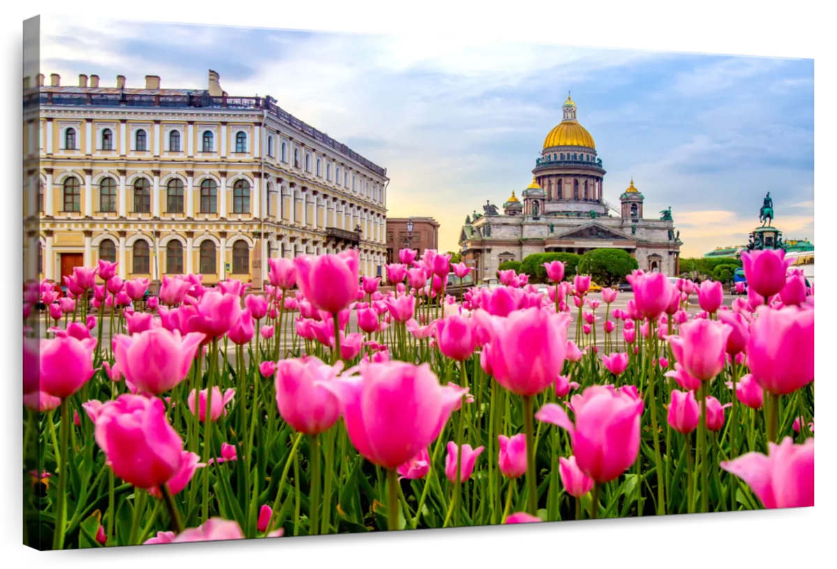 St Petersburg Spring Flowers