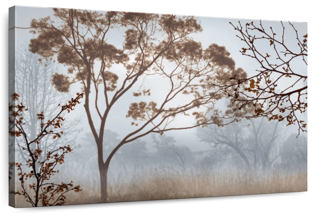 Early Morning Mist II