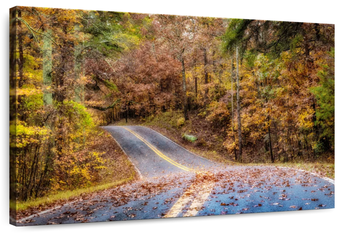 Woodland Road II