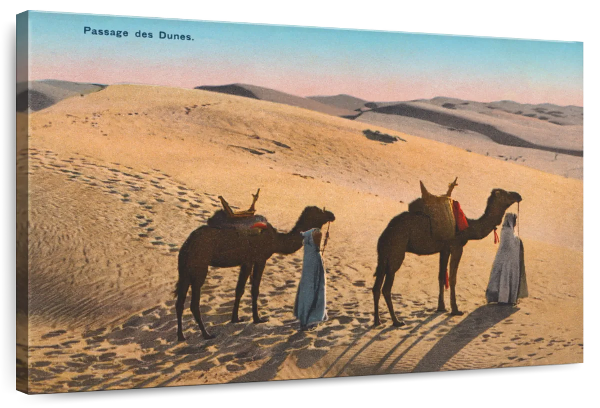 Desert Crossing