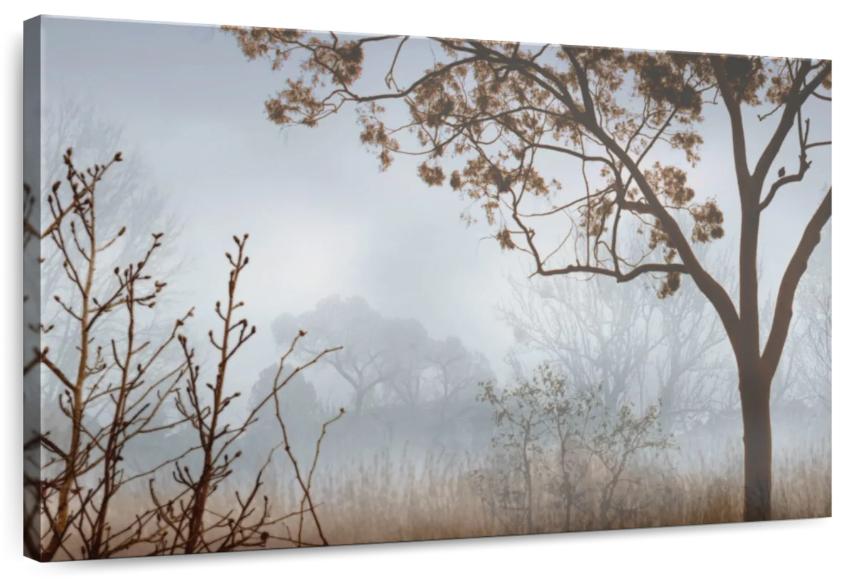 Early Morning Mist I