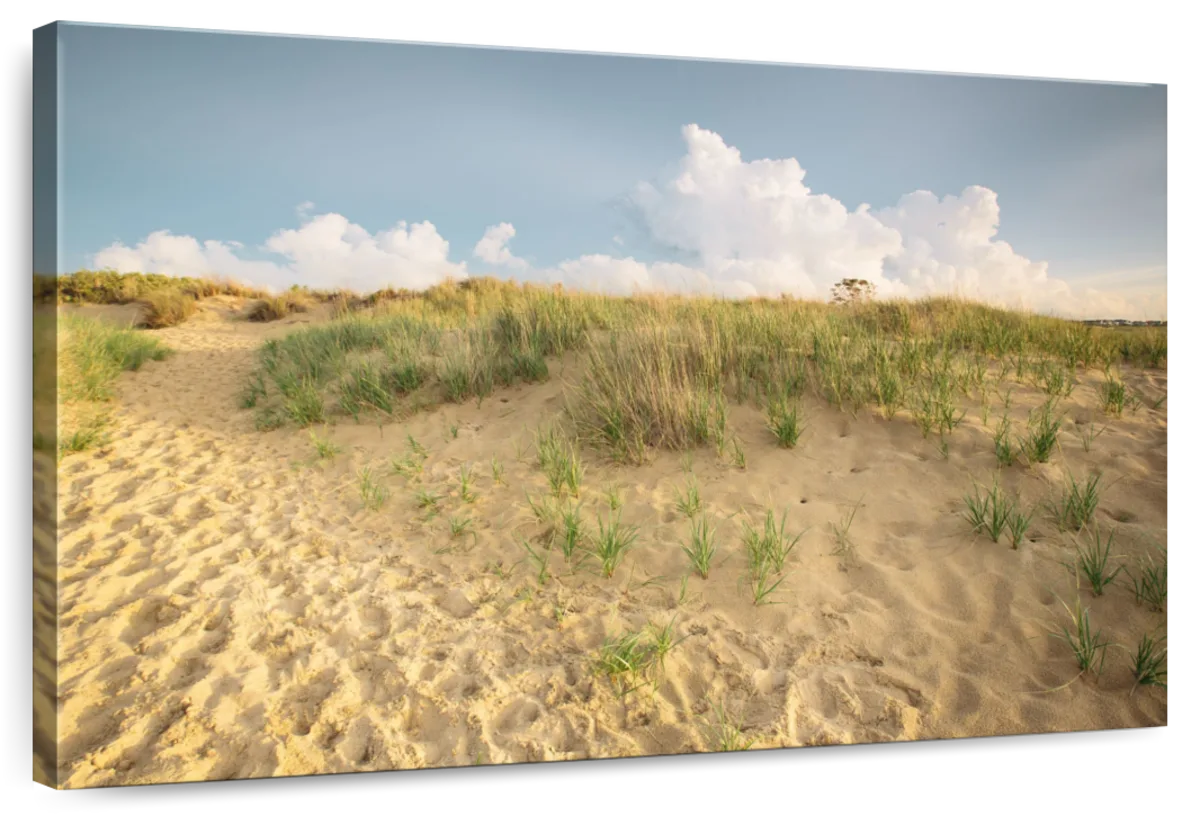 First Landing Dunes IV