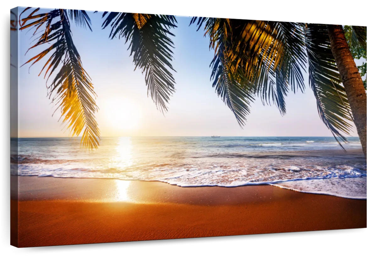 Summer Golden Coast