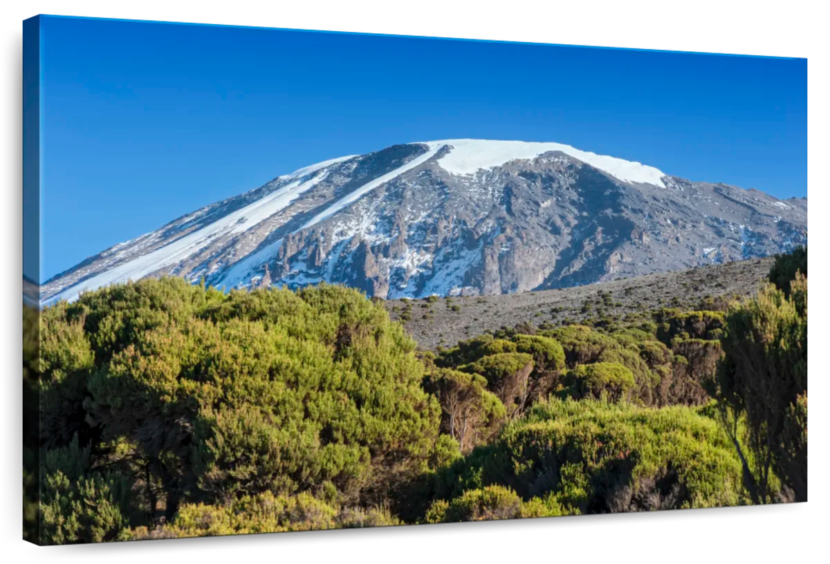 Snowcapped Mt Kilimanjaro