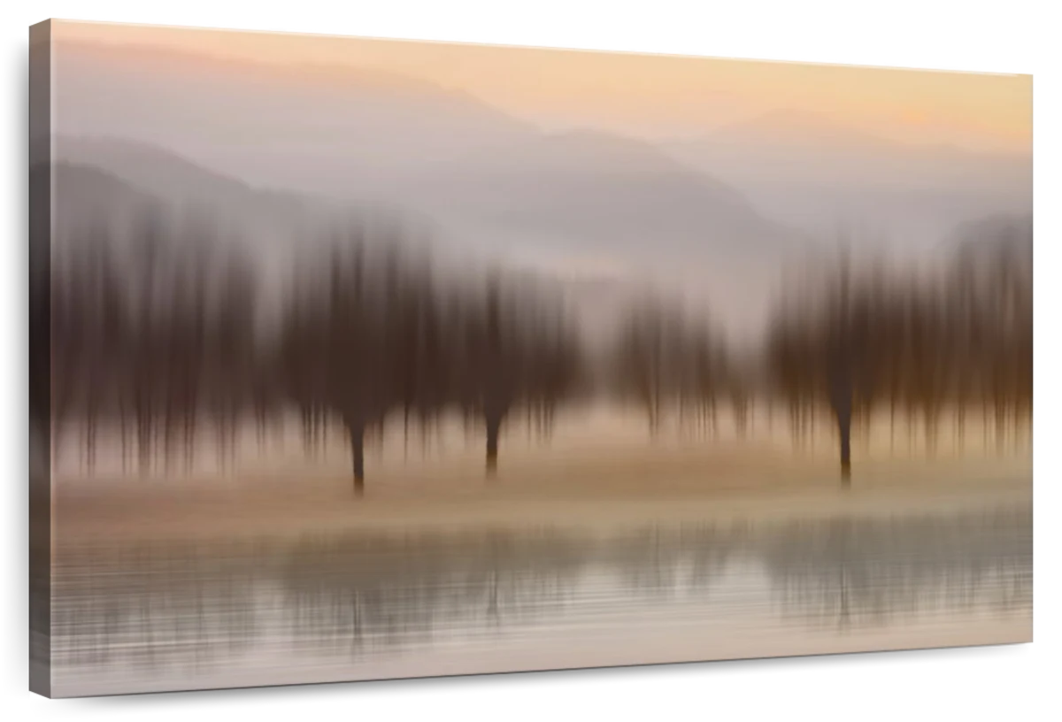 Early Morning I