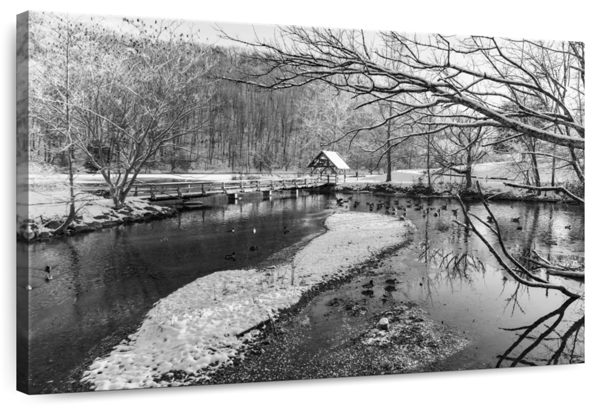 Snowy Pond