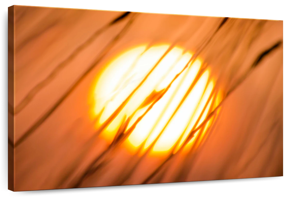 Dreams Of The Sun