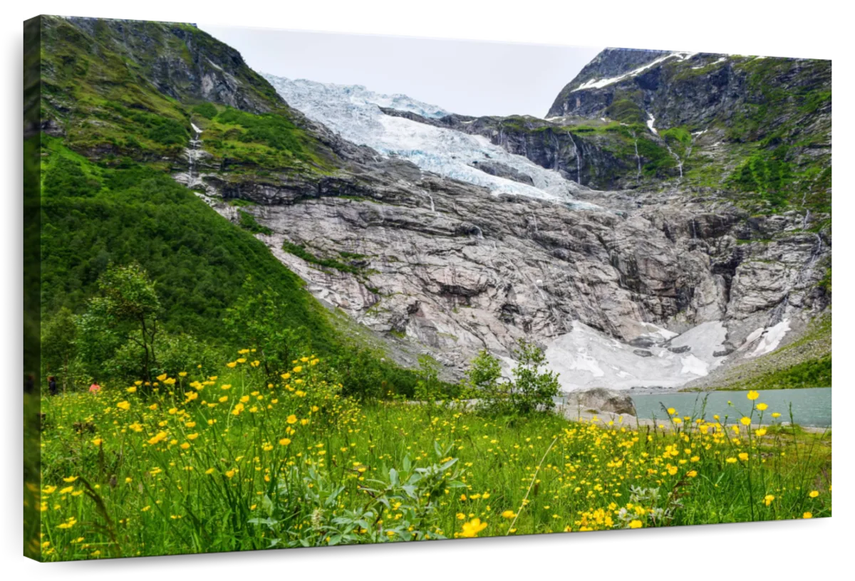 Boyabreen Flower Field