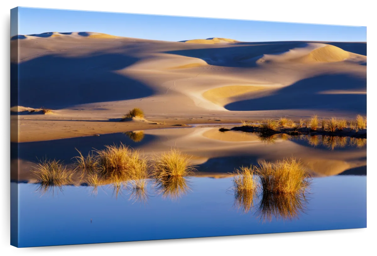 Desert Watering Hole
