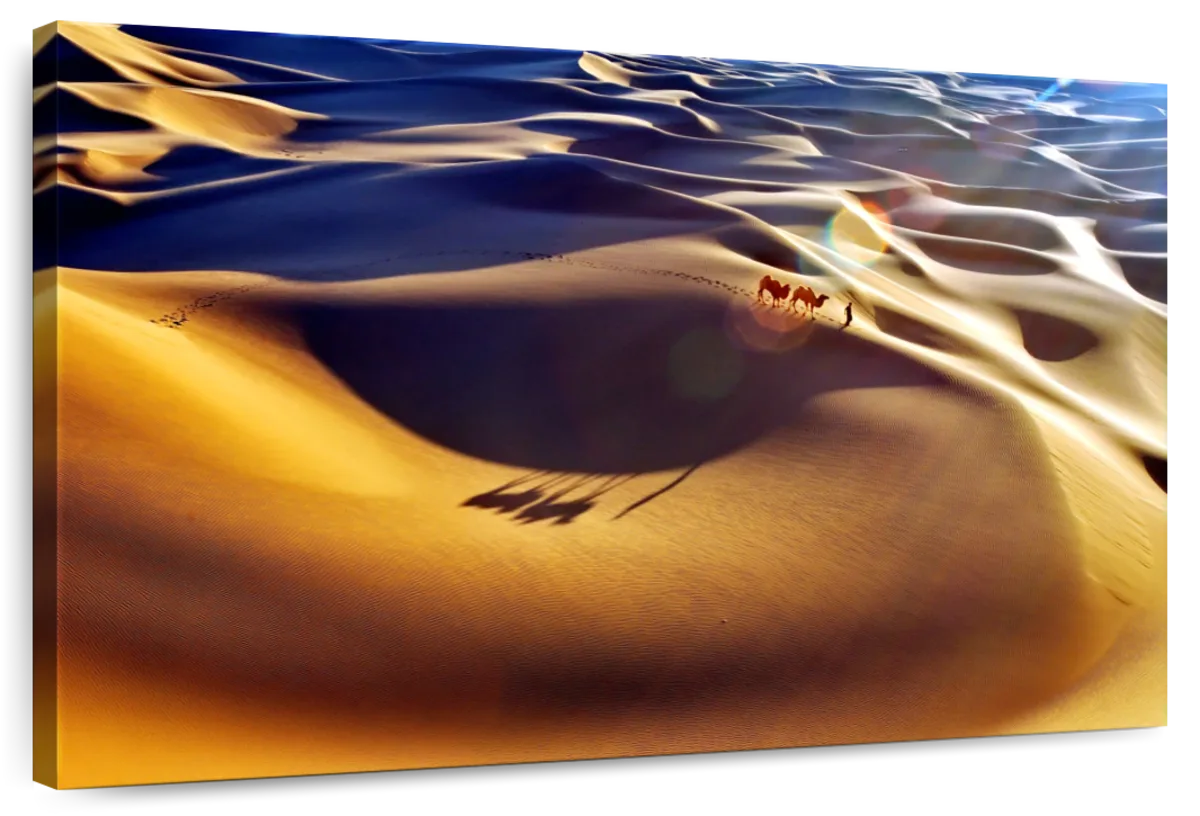 Desert Camels At Sunrise