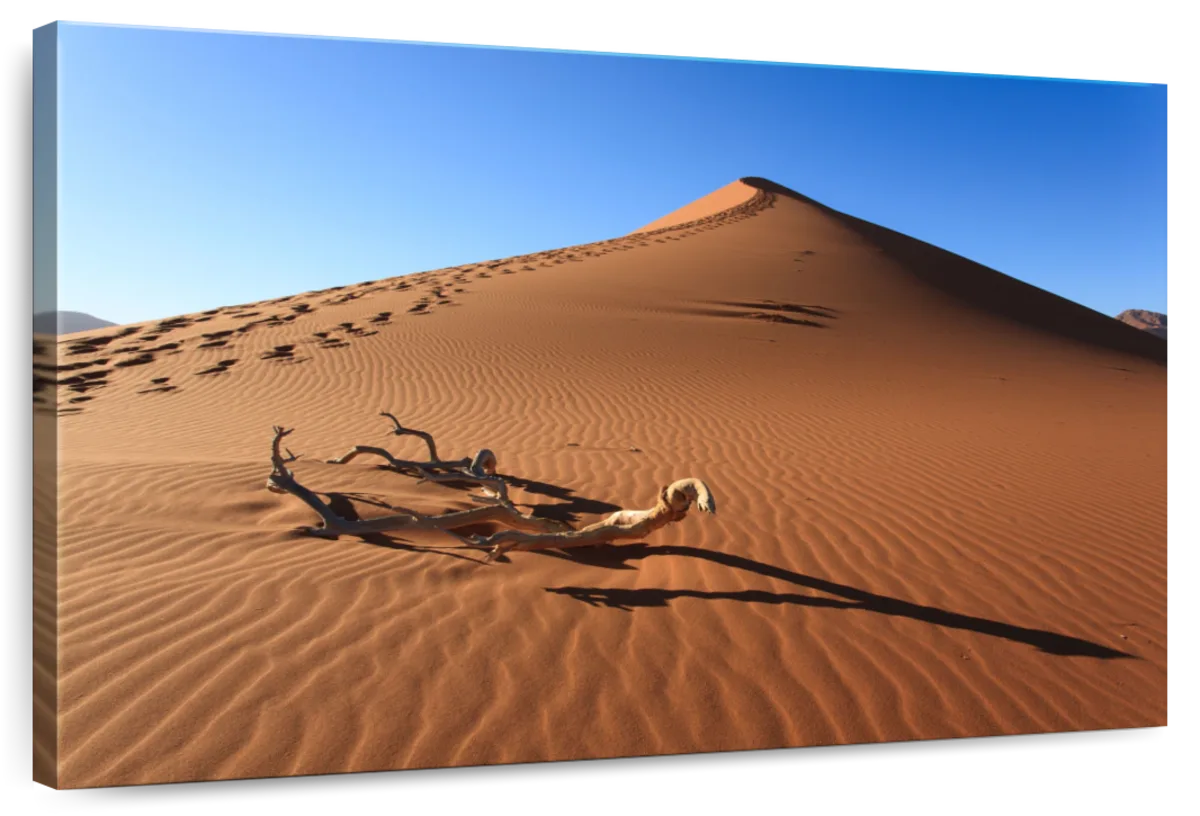 Desert Deadwood