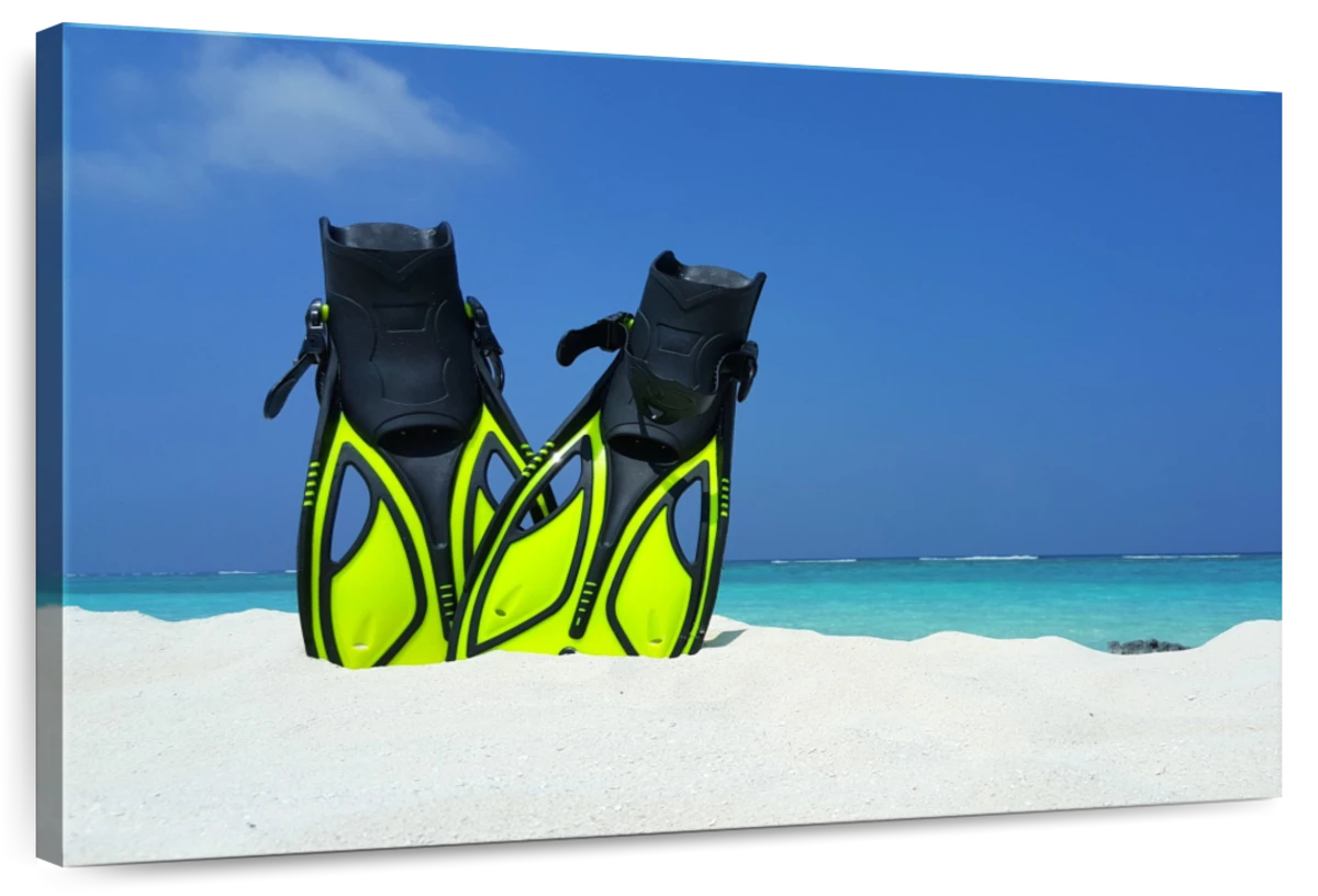 Diving Flippers On Sand