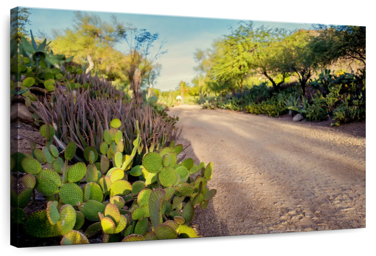 Southwestern Road
