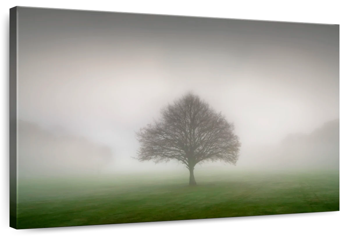 Standing Proud In Haze