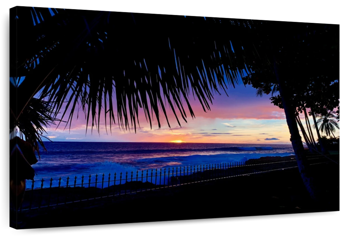 Hawaiian Sunset Palms