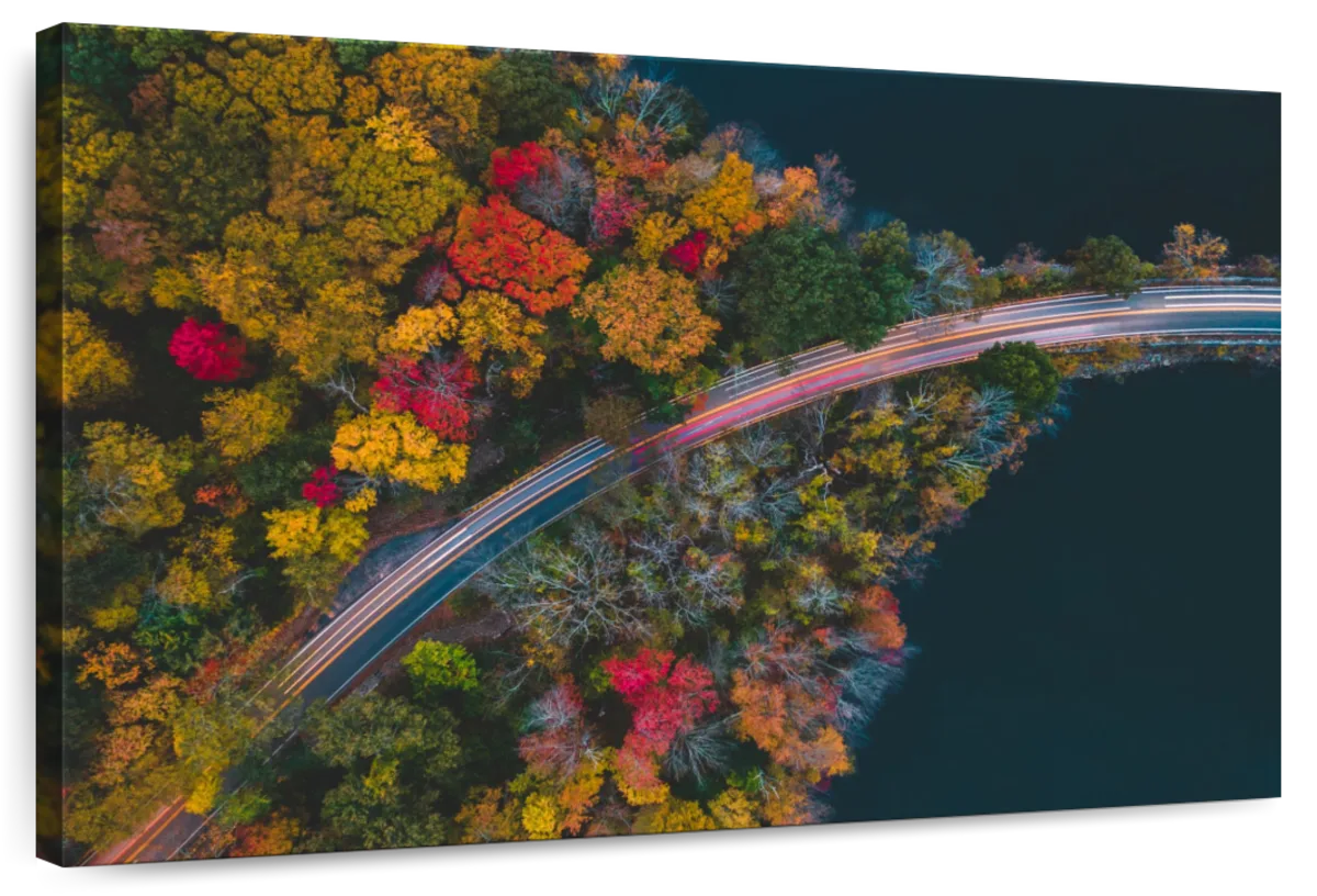 Autumn Road