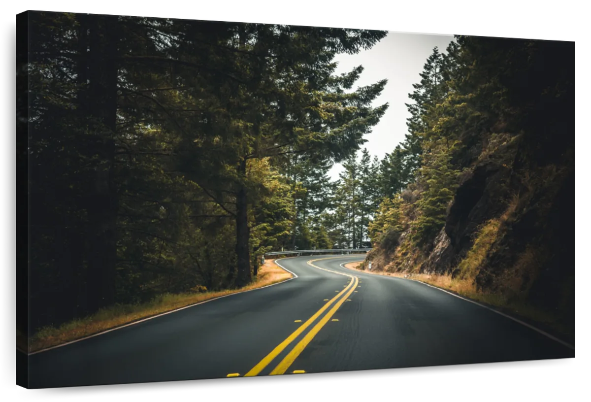 Vignette Forest Road