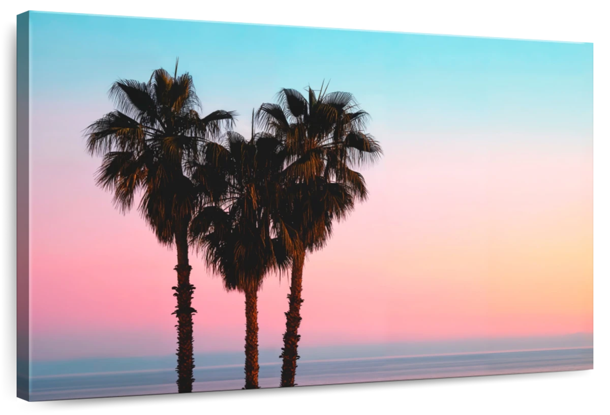 Tall Coastal Palms