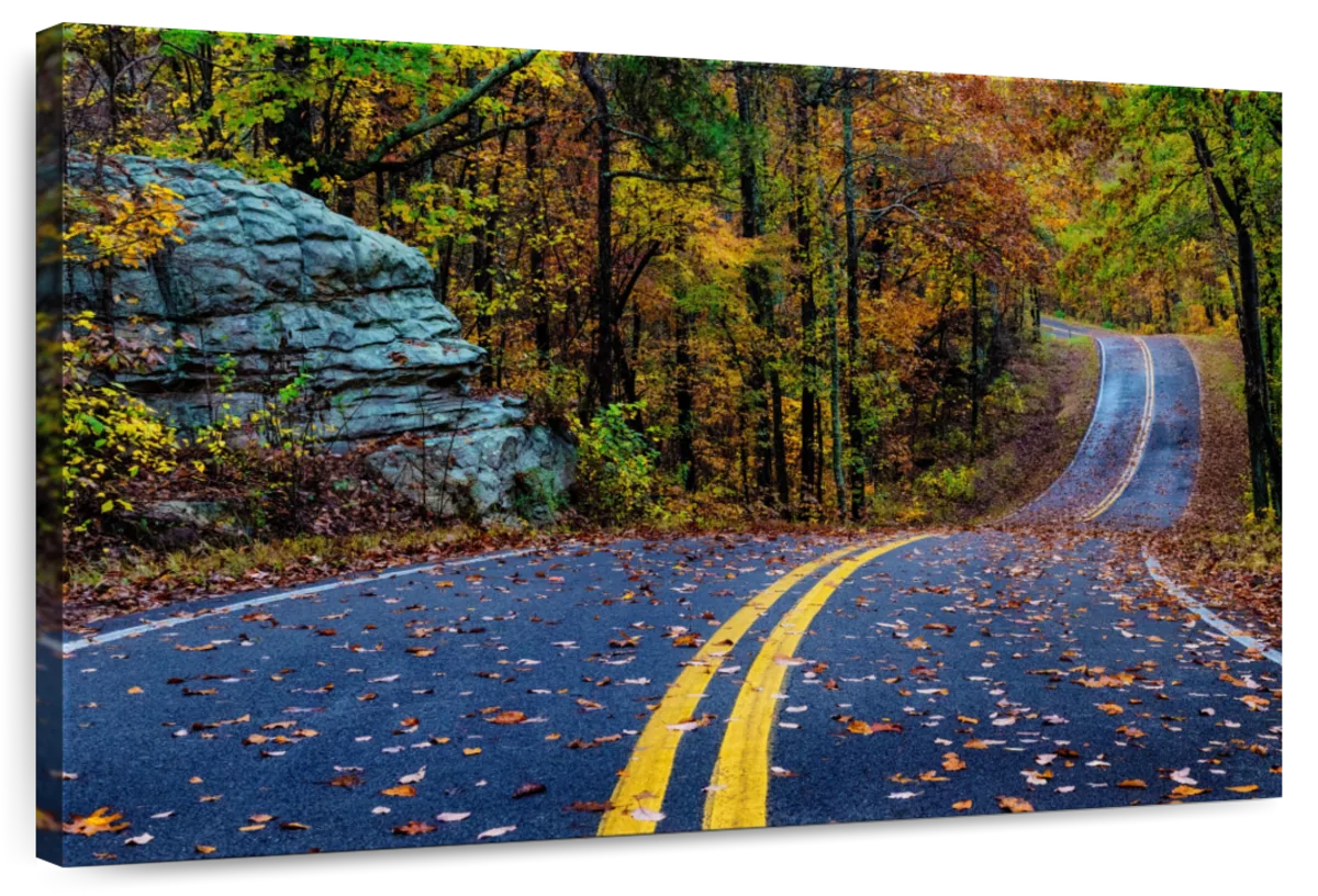 Woodland Road III