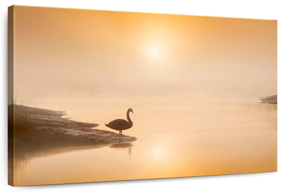 Stillness On The Riverbank