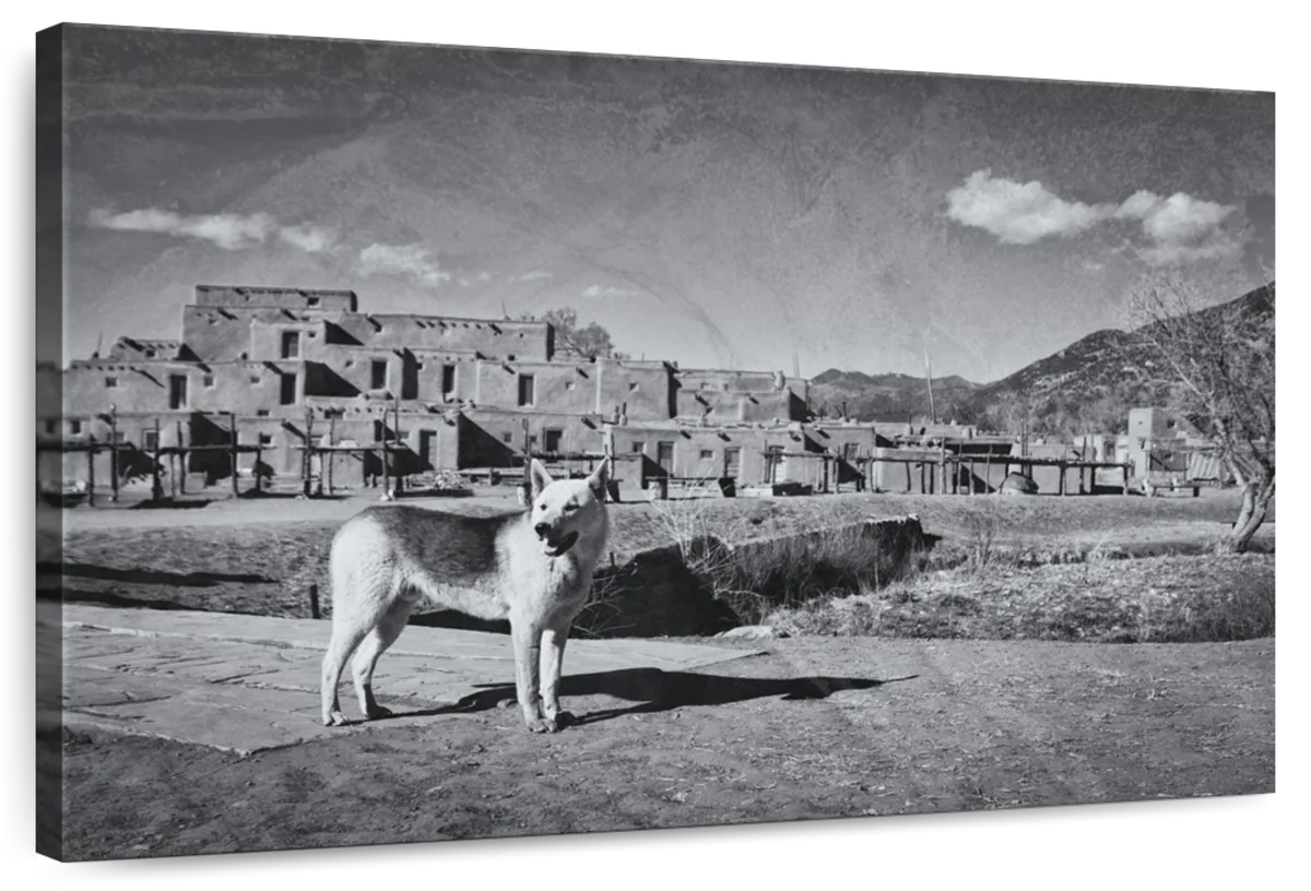 BW Taos