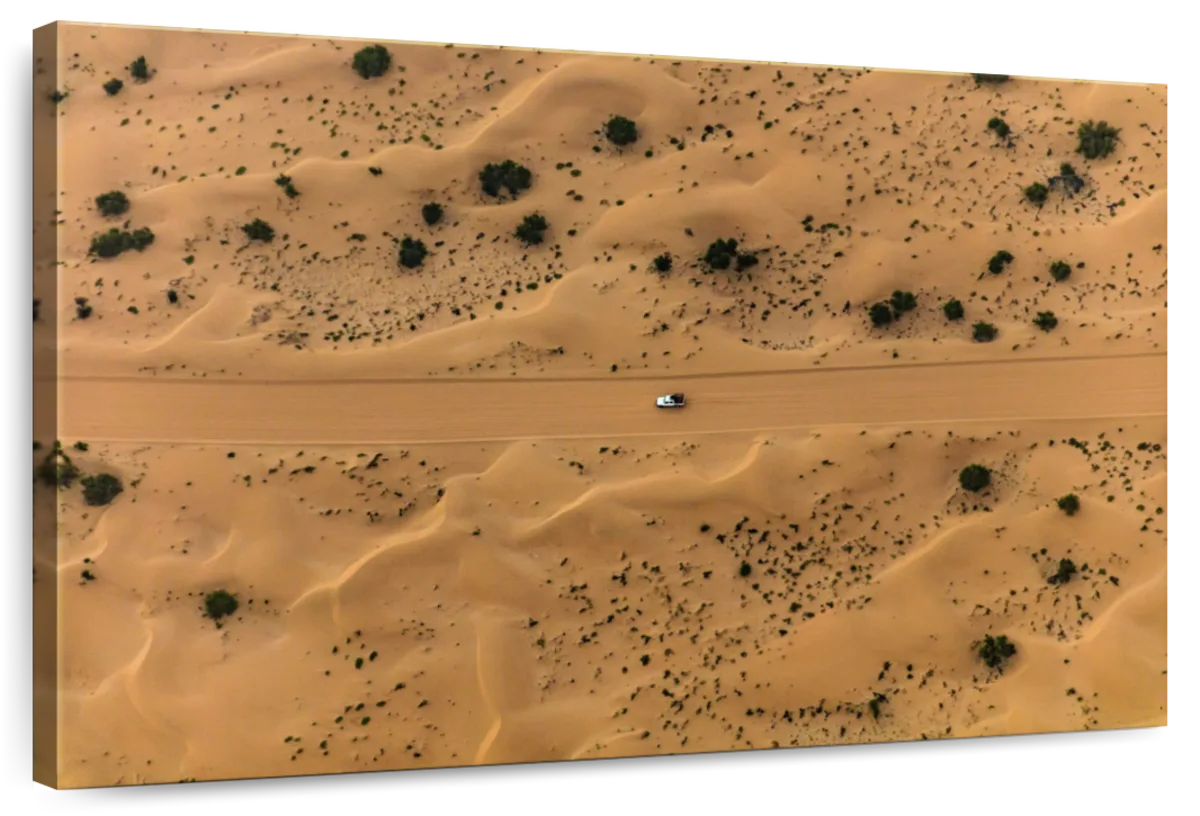 Dubai Desert Drive
