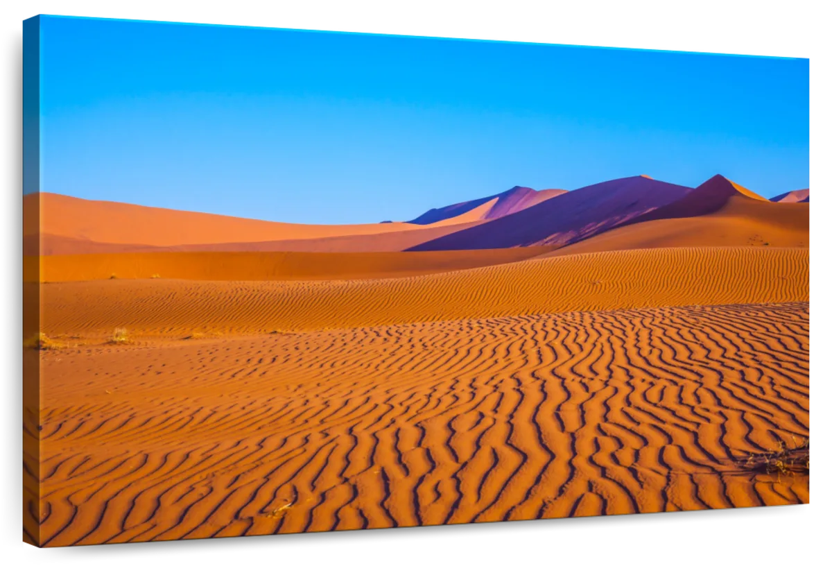 Desert Sand Waves