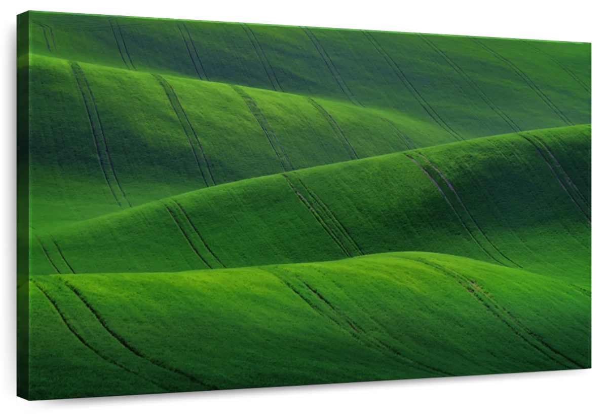 South Moravia Green Hills