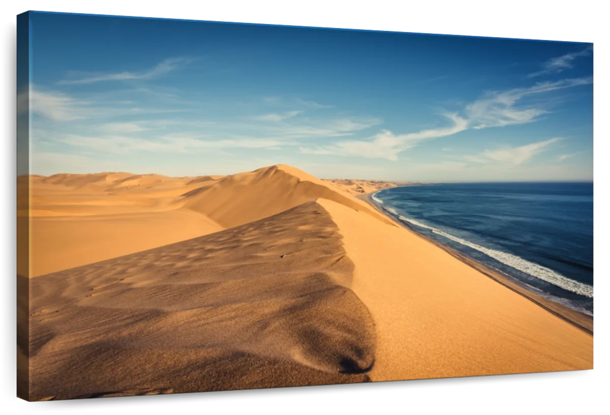 Dry Desert And Namibian Sea