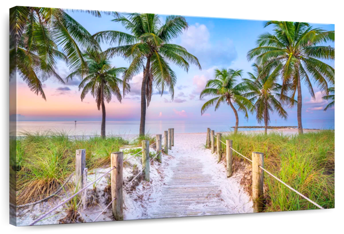 The Beach Dreams