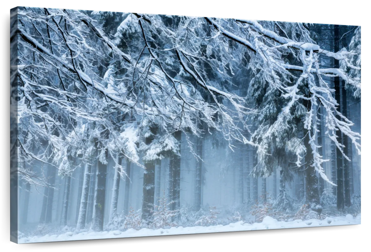 Snow World