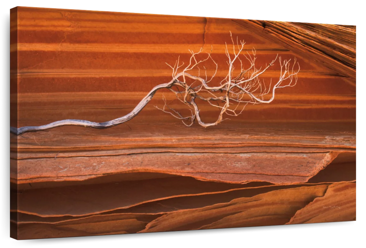 Coyote Buttes III