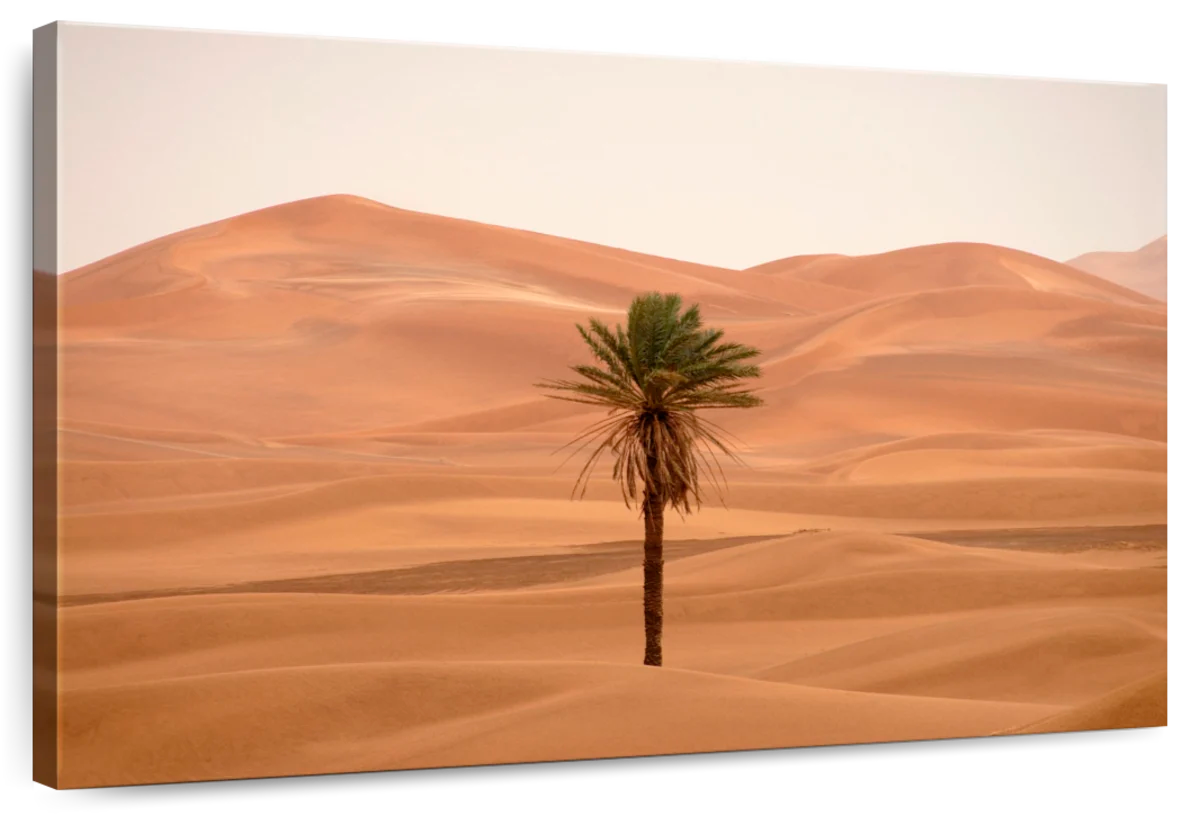 Erg Chebbi Palm Trees