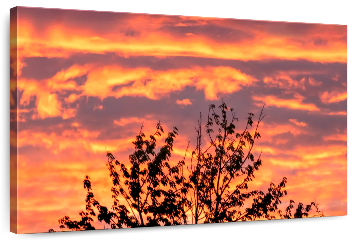 Sky Of Flames